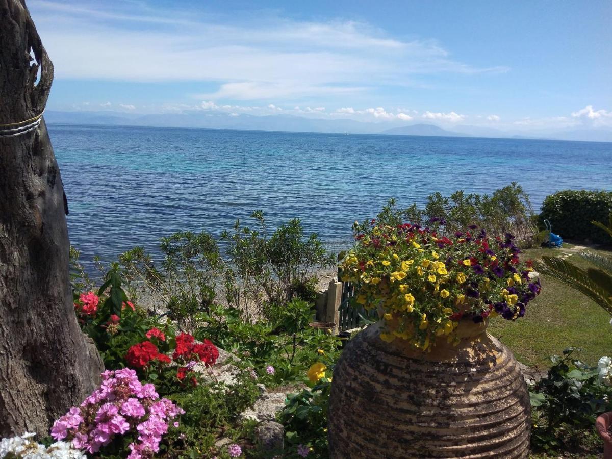 Agia Pelagia Chlomou Studio Nausica... A Sense Of Paradise! מראה חיצוני תמונה