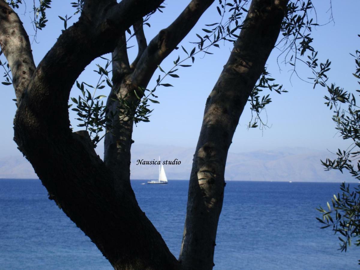 Agia Pelagia Chlomou Studio Nausica... A Sense Of Paradise! מראה חיצוני תמונה